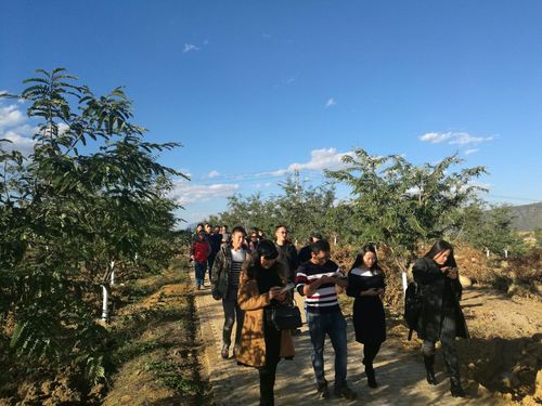 玉溪旅游行业协会旅游商品与装备分会2016年年会在新平猫哆哩庄园举行